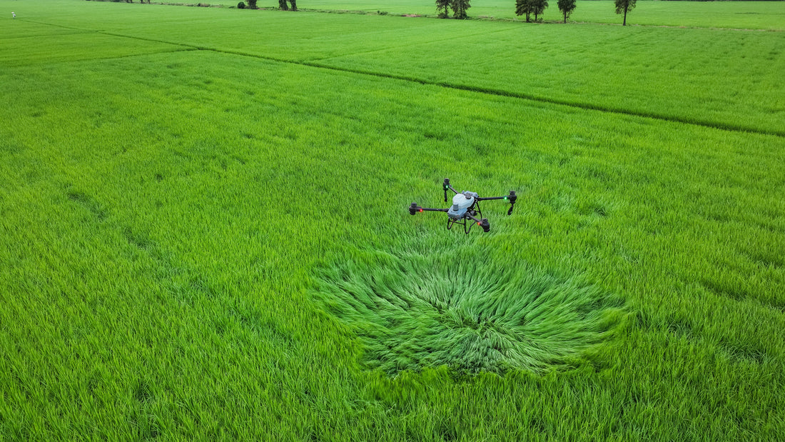 DJI Agriculture Annual Report 2023/2024: Agricultural Drones Gaining Momentum