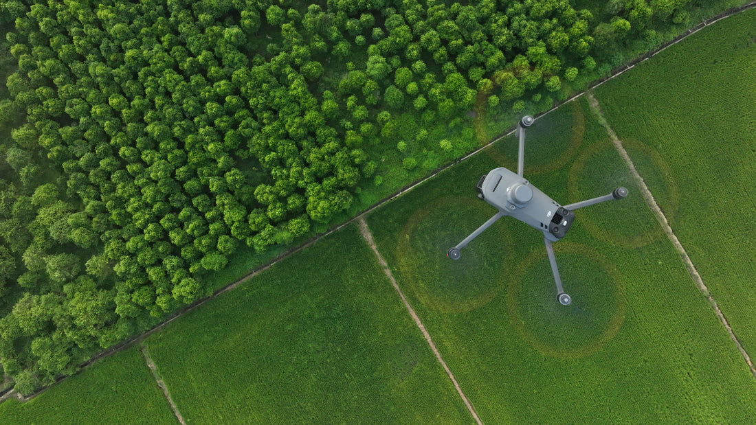 Drone inspections with the DJI Mavic 3M: precise, fast, and reliable for agriculture