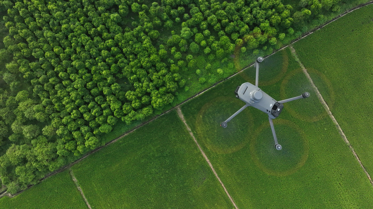 Drone inspections with the DJI Mavic 3M: precise, fast, and reliable for agriculture